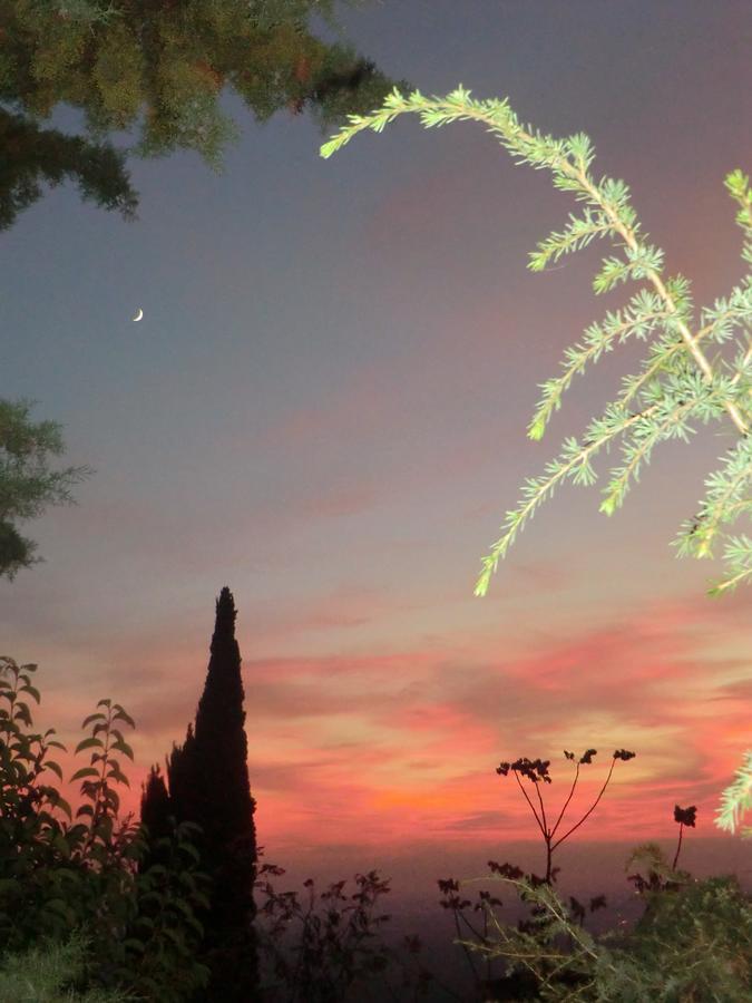 Il Giardino Di Alisa Bed and Breakfast Τίβολι Εξωτερικό φωτογραφία